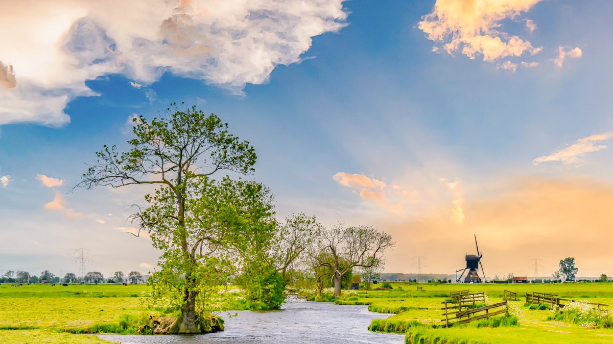 Z6Focus's tweet image. Typisch Nederlands. 
picfee.com/nl/fotograaf/Z…