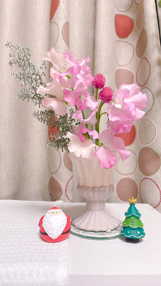 あずきん (@azkn1139) / Posts / X