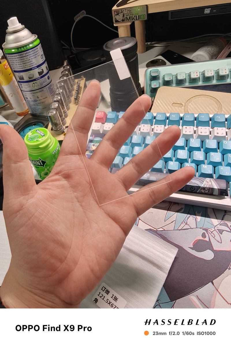 江灵夏草 tweet media