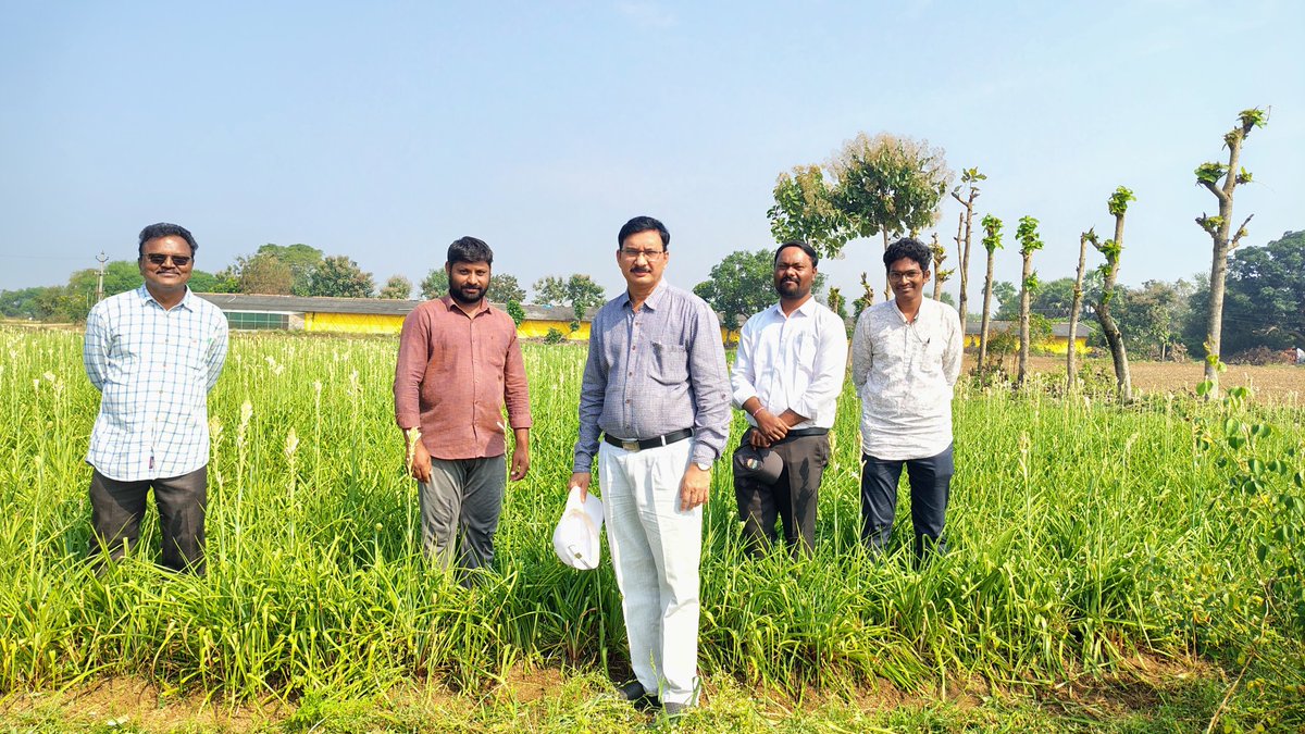 rakeshcherala3's tweet photo. Today random inspections of DHO in Waradhanpet jurisdiction @Collector_WGL @TummalaOfficial @DhsoWarangal https://t.co/Mryc7CVhru
