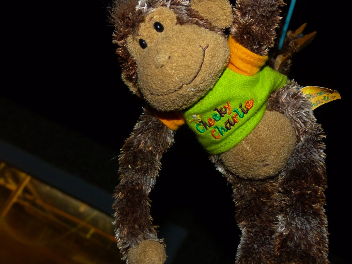 littlemonkeyf tweet picture
