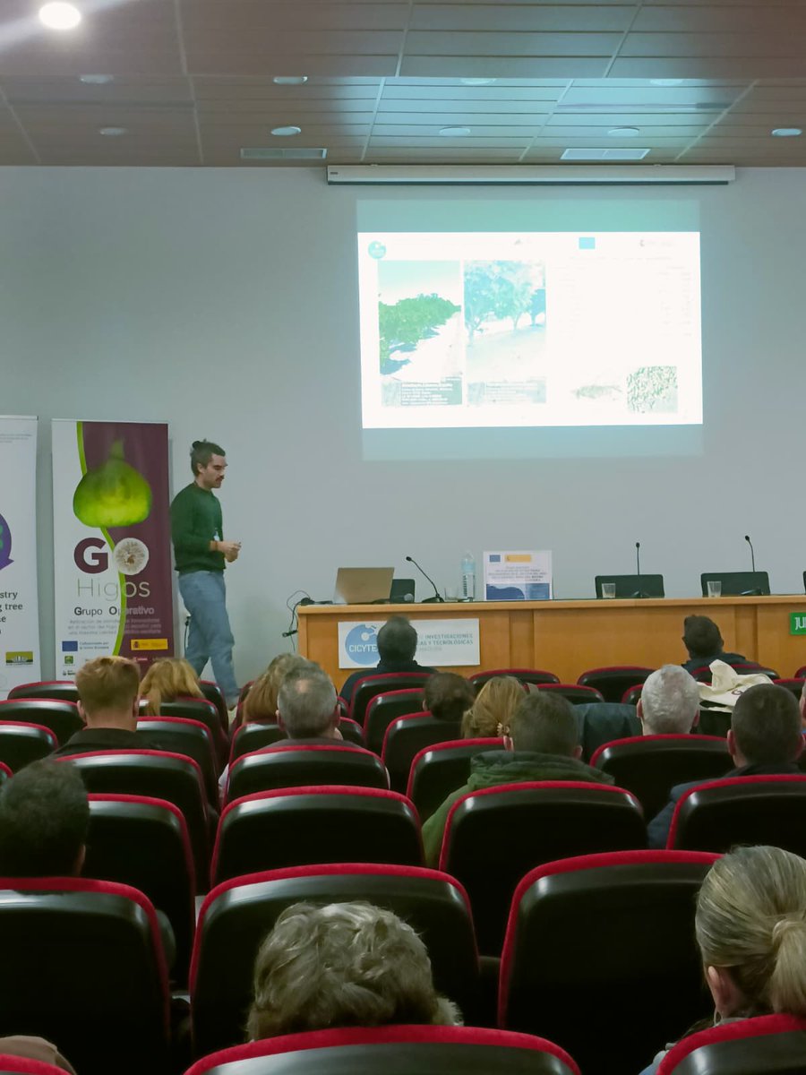 CICYTEX's tweet image. 🙋‍♀️ Ayer celebramos en nuestro CAEM (Plasencia) el Workshop @gohigos y living lab @AgrofigPrima: beneficios de la #agrosilvicultura mediante cultivo de #higueras🟣
🎯Enfocado en medidas preventivas durante el almacenamiento y procesado del higo seco🏥
ℹ️cicytex.juntaex.es/-/workshop-go-…