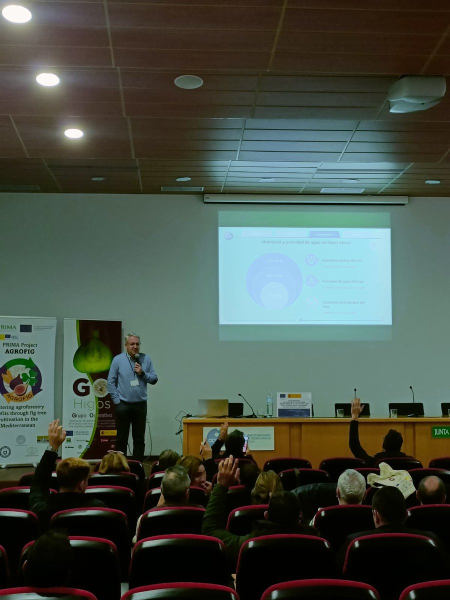 CICYTEX's tweet image. 🙋‍♀️ Ayer celebramos en nuestro CAEM (Plasencia) el Workshop @gohigos y living lab @AgrofigPrima: beneficios de la #agrosilvicultura mediante cultivo de #higueras🟣
🎯Enfocado en medidas preventivas durante el almacenamiento y procesado del higo seco🏥
ℹ️cicytex.juntaex.es/-/workshop-go-…
