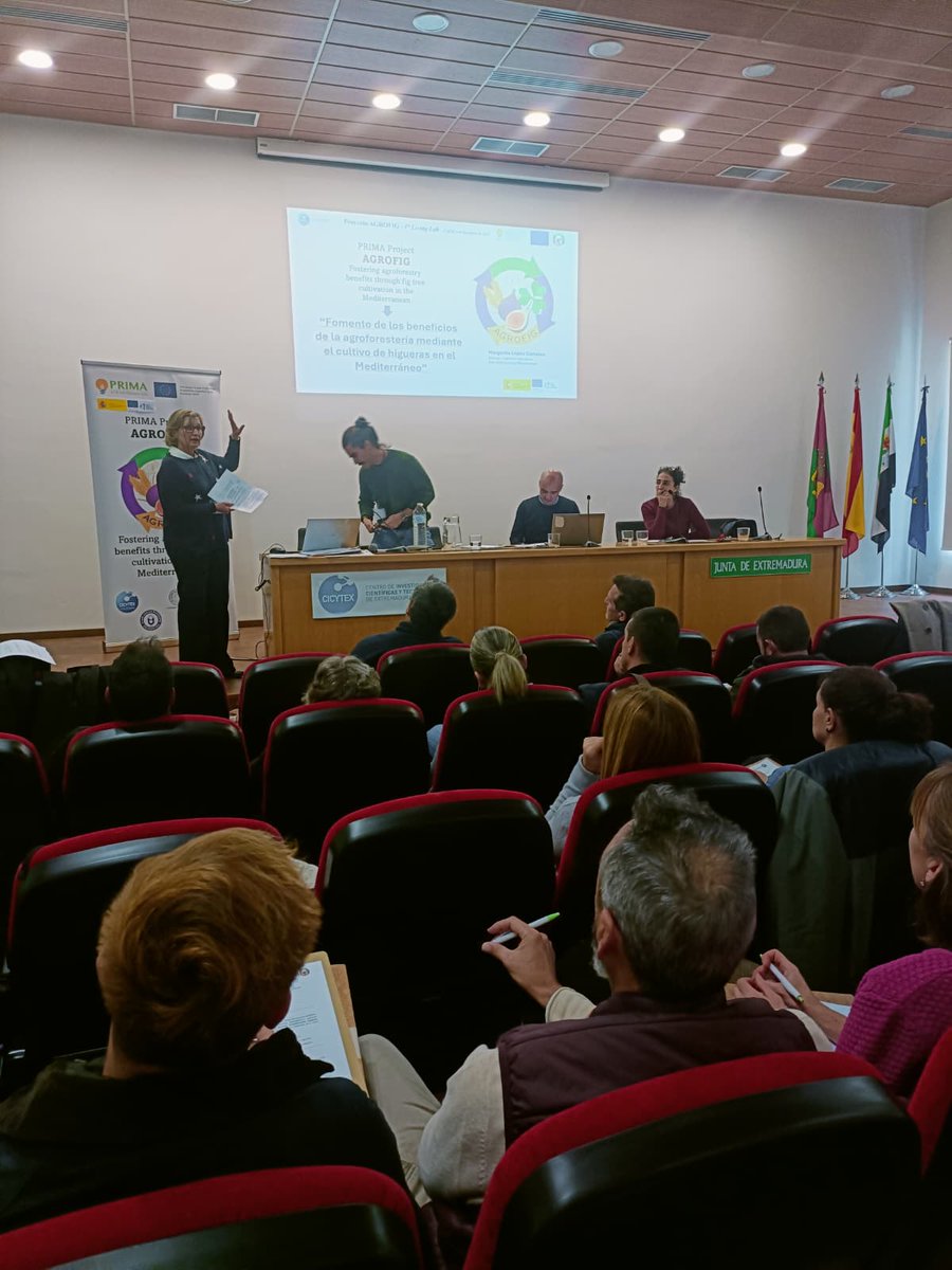 CICYTEX's tweet image. 🙋‍♀️ Ayer celebramos en nuestro CAEM (Plasencia) el Workshop @gohigos y living lab @AgrofigPrima: beneficios de la #agrosilvicultura mediante cultivo de #higueras🟣
🎯Enfocado en medidas preventivas durante el almacenamiento y procesado del higo seco🏥
ℹ️cicytex.juntaex.es/-/workshop-go-…