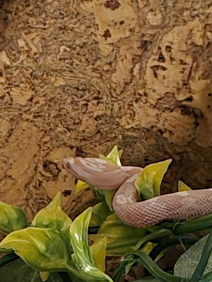 Bis Montag Lace! 🙂