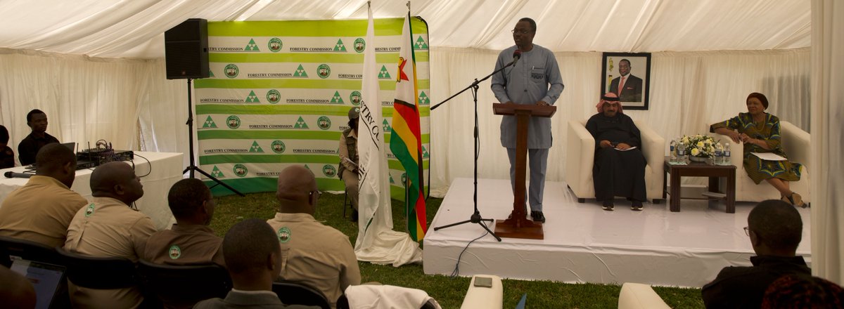 UNDPZimbabwe's tweet image. 📍Under @TheGEF, Zimbabwe has made remarkable progress:

✔ Chitindiva Nursery Office
✔ ILMPs for Hurungwe, Mbire &amp;amp; Muzarabani
✔ Strengthened leadership on wetlands conservation

“These results reflect what is possible through partnership and commitment.” — Dr. Ayodele Odusola,…