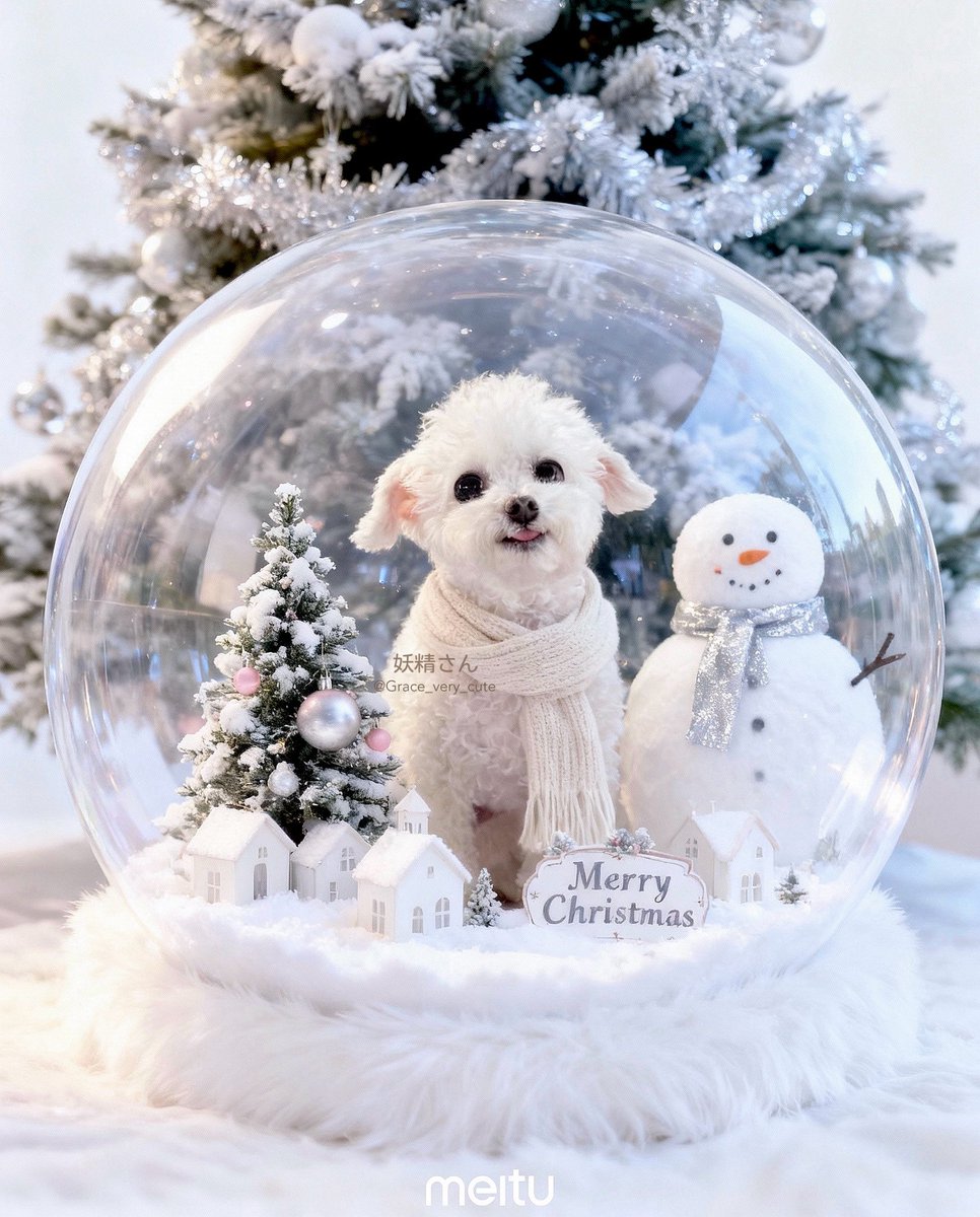 Grace_very_cute's tweet photo. meituの"もふもふクリスマス"のAI加工で
妖精さんの可愛い画像作ったよ( ˘͈ ᵕ ˘͈ ) .｡oO ❄️

待ち受けとかに大抜擢だね🩵

みんなも引用でmeituの加工使って
自慢のペットちゃん紹介してね🐶🐱🐹🐰

#meitu #Christmas #AI加工 #PR https://t.co/UrRGlXPVNN