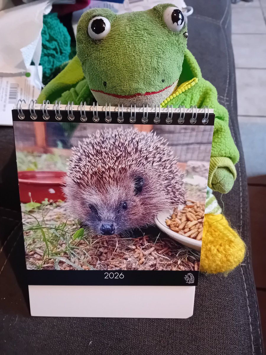 Guckt mal mein Kalender von den Igelchen ist da. Vielen lieben Dank <a href="/PeGr1969/">Arch_Bishop</a> das meine Mama ihn kaufen konnte. So süße Igelchen