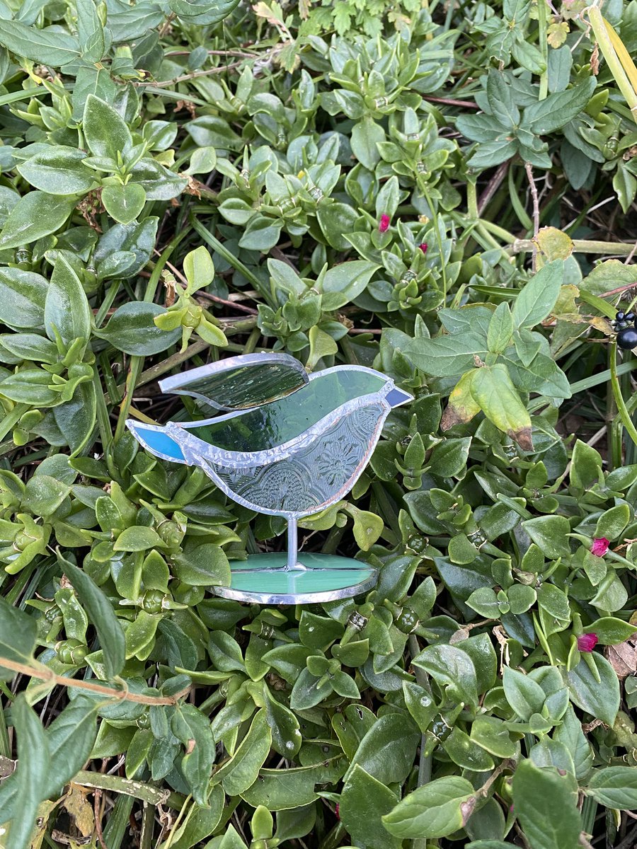 나 너무 아름다운 것을 만든 것 같아💚
(반응 선생님이..)