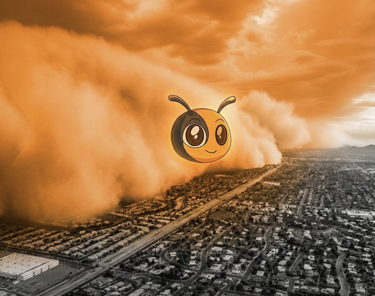 Nothing to see here, just Beelievers total domination. 🐝🌪️