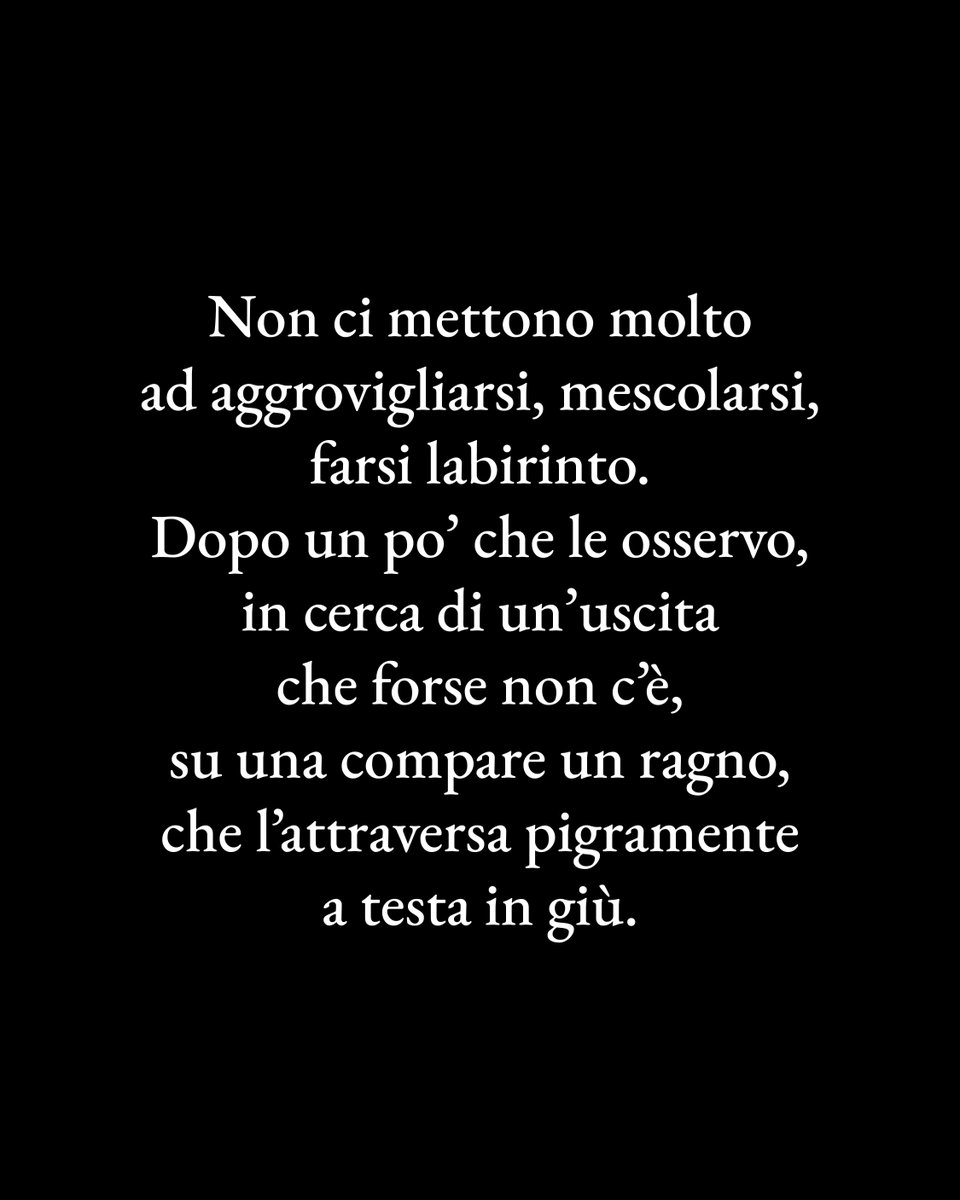 Racconti edizioni tweet media