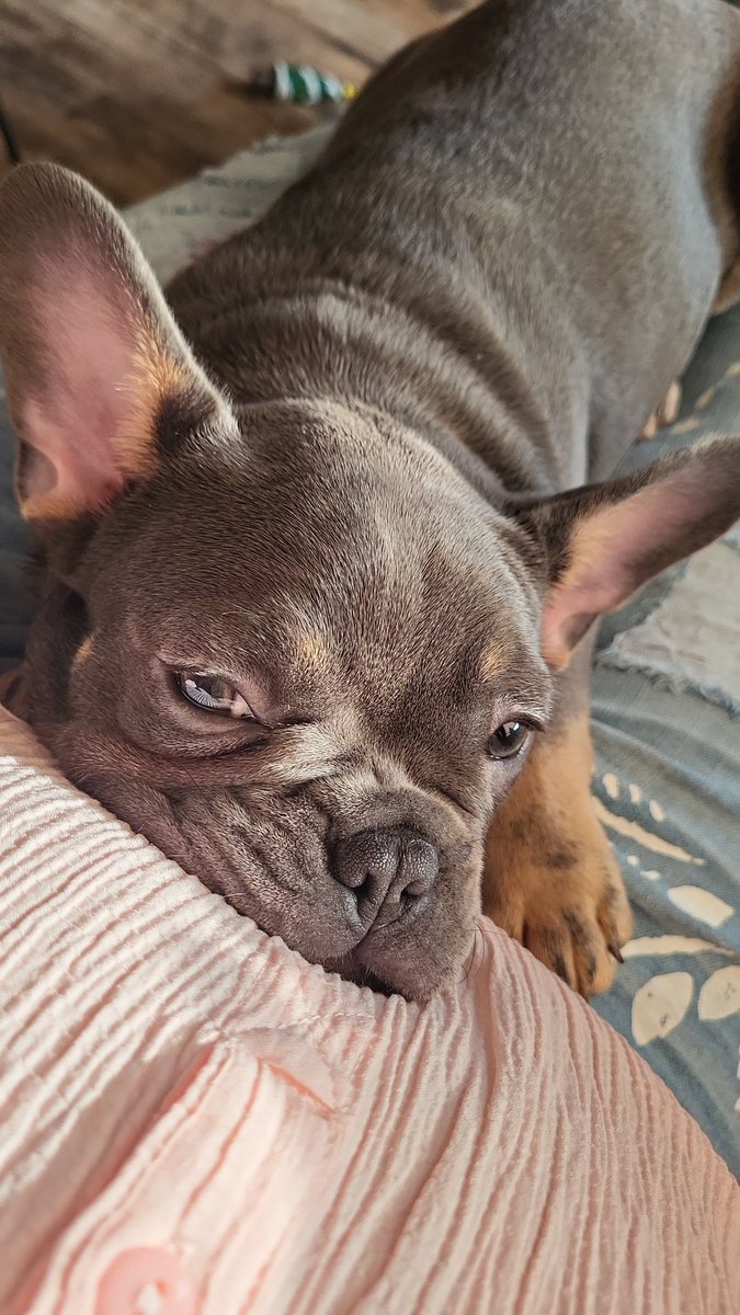 T gaat gelukkig weer een stuk beter met frutsel😊 t bijt weer, haalt rottigheid uit en eet weer🫠