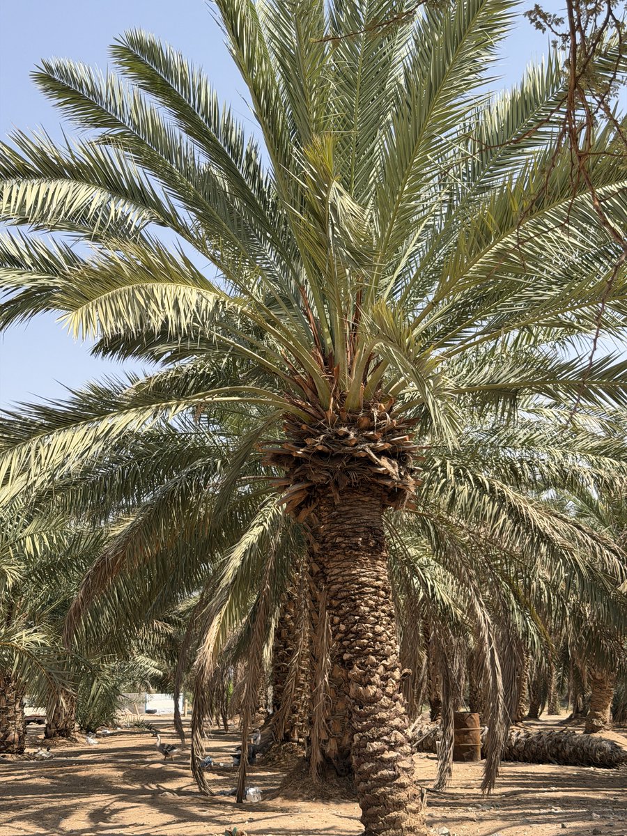 #الاموات_يفرحون_بالدعاء_لهم
اللهم في يوم الجمعة أرحم من أغلقت 
أعينهم ورحلوا وأجعل قبورهم بعد فراق 
الدنيا أجمل مسكن تغفو به أعينهم .