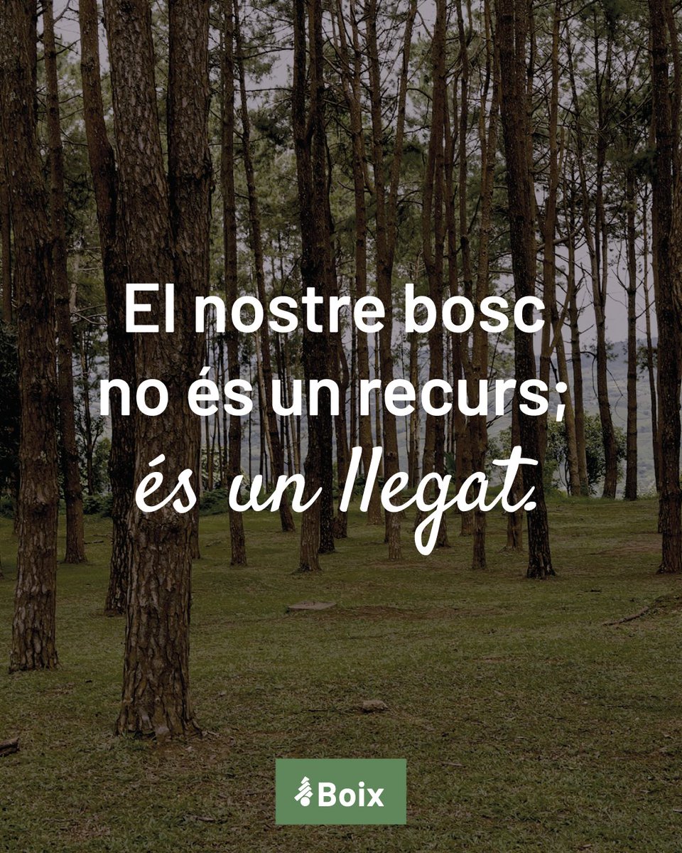 El nostre bosc no és un recurs; és un llegat.

Treballem perquè el territori prosperi amb nosaltres. 🌲🤝
#Territori #EconomiaLocal #Sostenibilitat