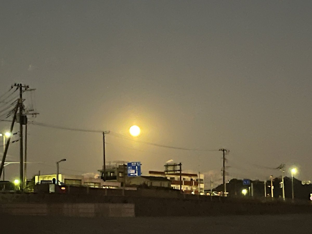 amazon.co.jp/%E6%9C%88%E4%B…
月が綺麗でした
コールドムーン？満月が美しく自然に映えます
このような夜のお供にぜひ我が書をご覧ください♪
#月乃宮千晶