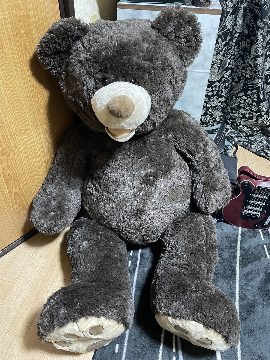 buuu_1217's tweet photo. 一人暮らし卒業して家族が出来ました🧸 https://t.co/xkvnvZ0SOT