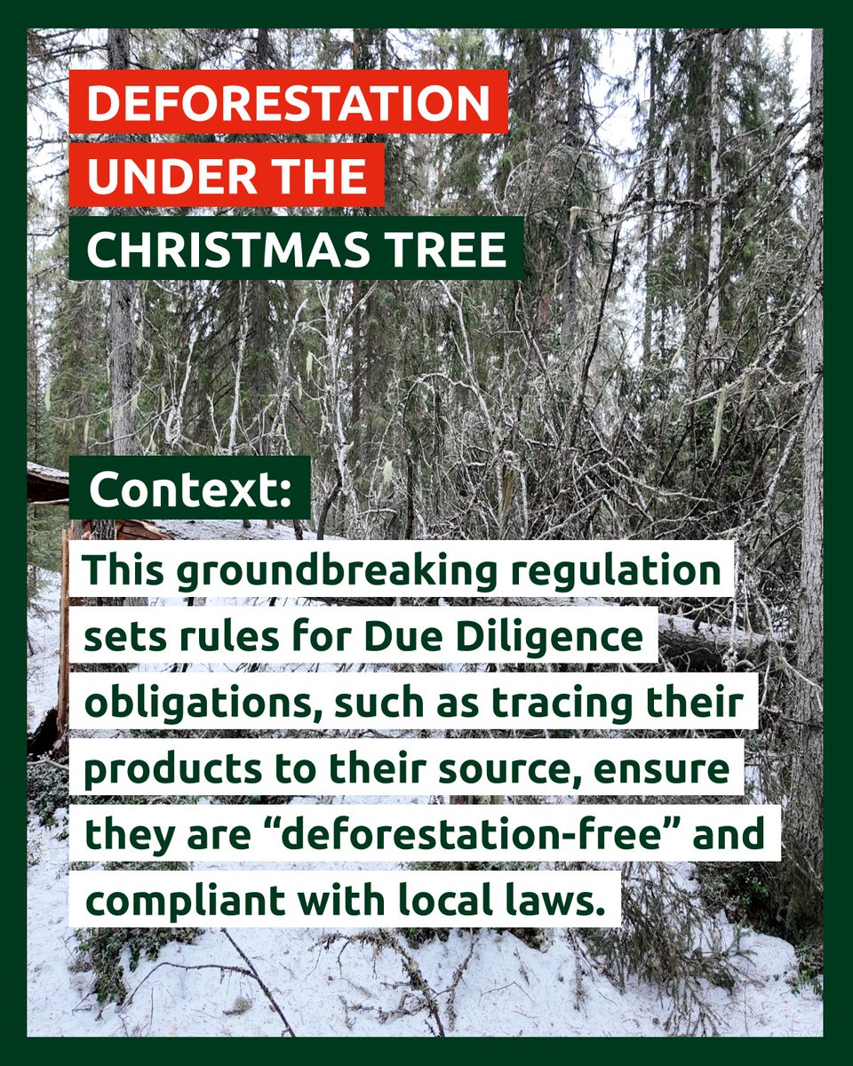 WhatsNYourPapr's tweet photo. The omnibus reaps yet another victim: forests and their protections against the endless consumption of pulp and paper.
Read more on our full statement: https://t.co/JAjw8xO5Jj
#EUDR #Books #PulpPaper #Omnibus https://t.co/2086QJ3PHa