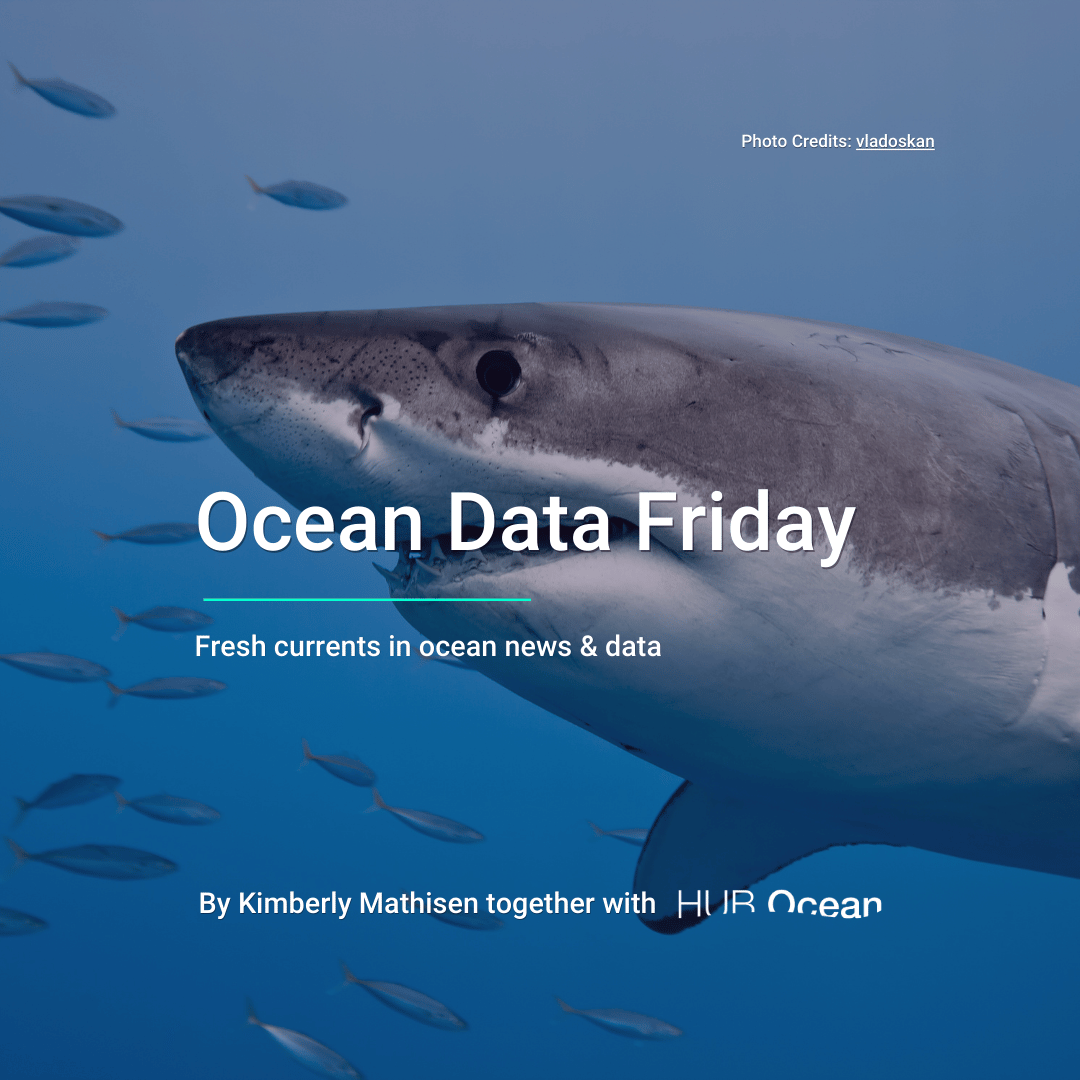 HUB Ocean tweet media