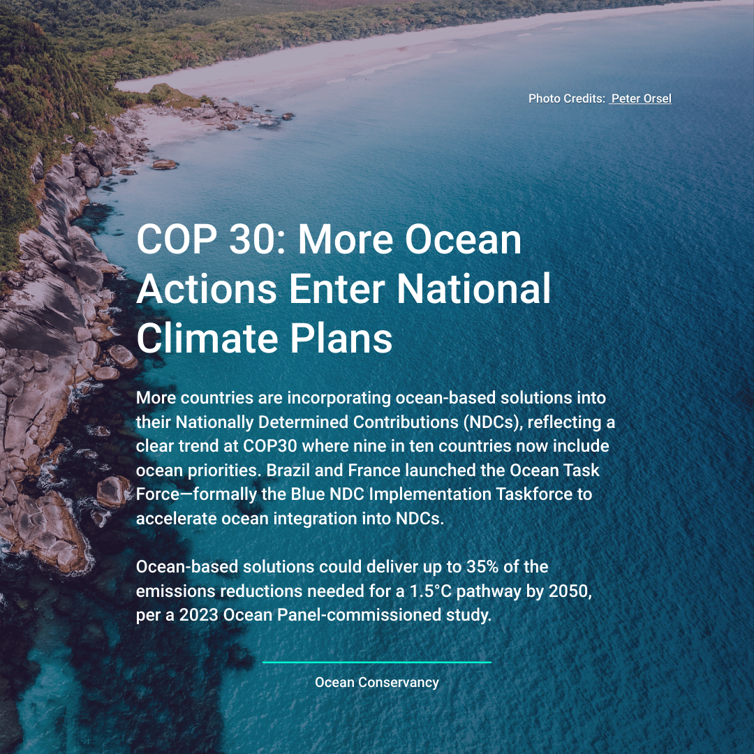 HUB Ocean tweet media