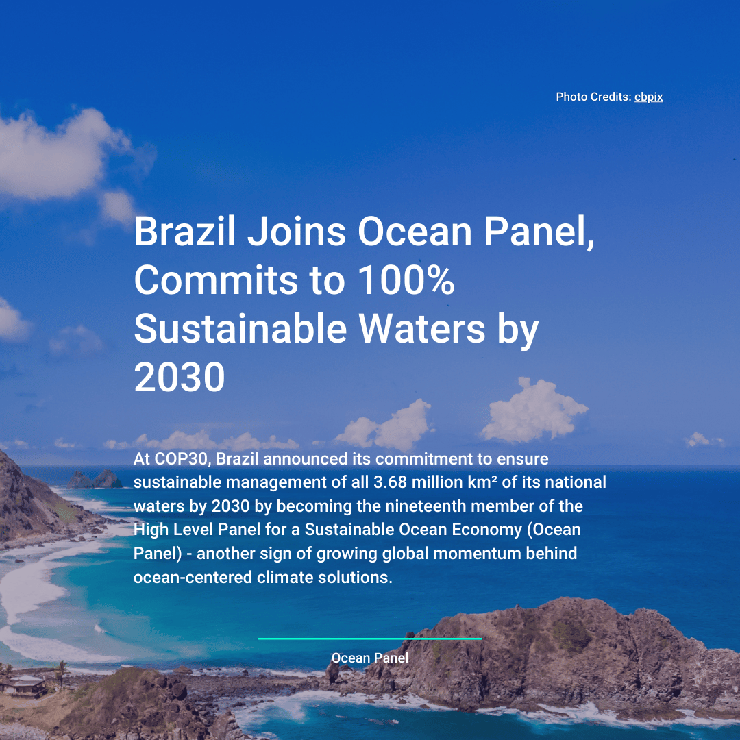 HUB Ocean tweet media