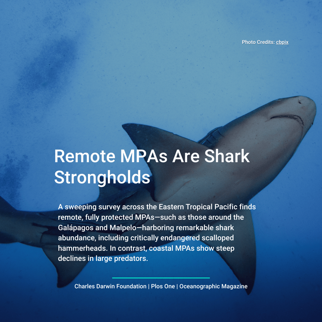 HUB Ocean tweet media