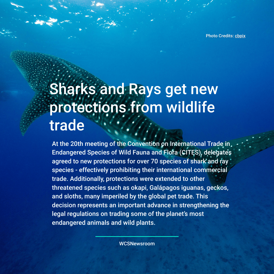 HUB Ocean tweet media