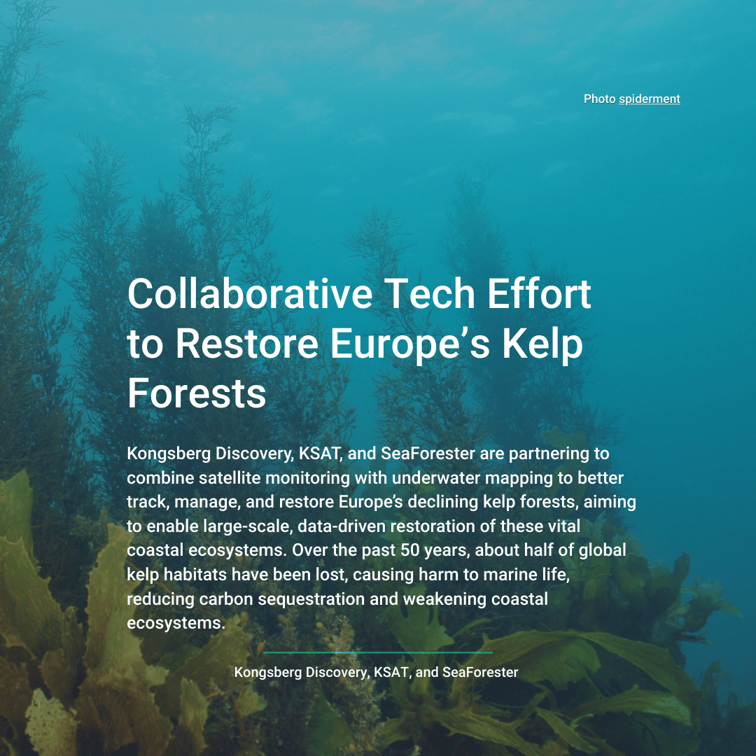 HUB Ocean tweet media