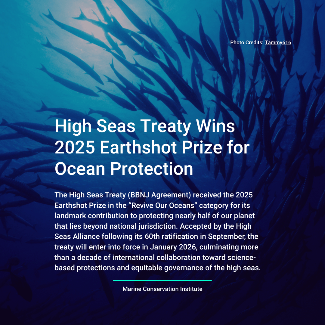 HUB Ocean tweet media