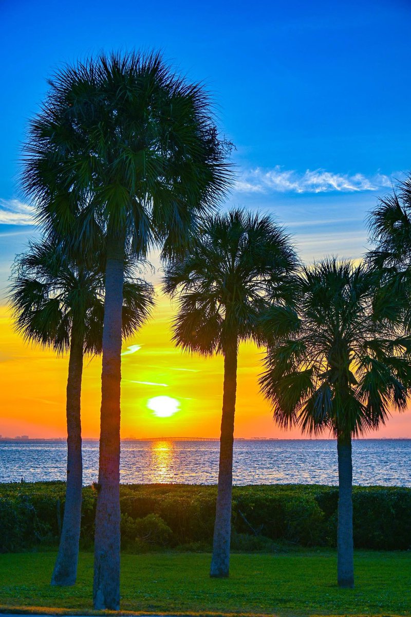 Morning friends! #FridayVibes #FridayMotivation #FridayMorning