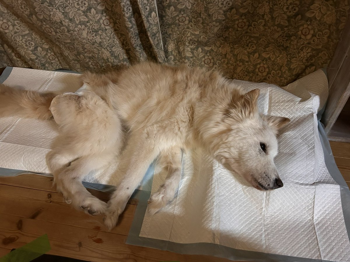 しょんべん小僧