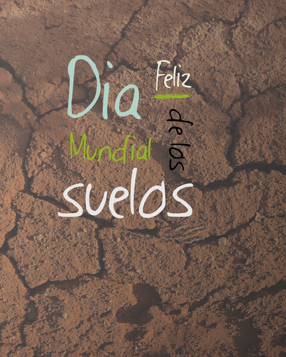 El suelo es mucho más que tierra: es donde nacen los bosques, se captura carbono y florece la vida.

En BS regeneramos suelos degradados y los convertimos en activos naturales con trazabilidad y futuro.

🌱 Cuidar el suelo es cuidar la base de todo.
#DíaMundialDelSuelo