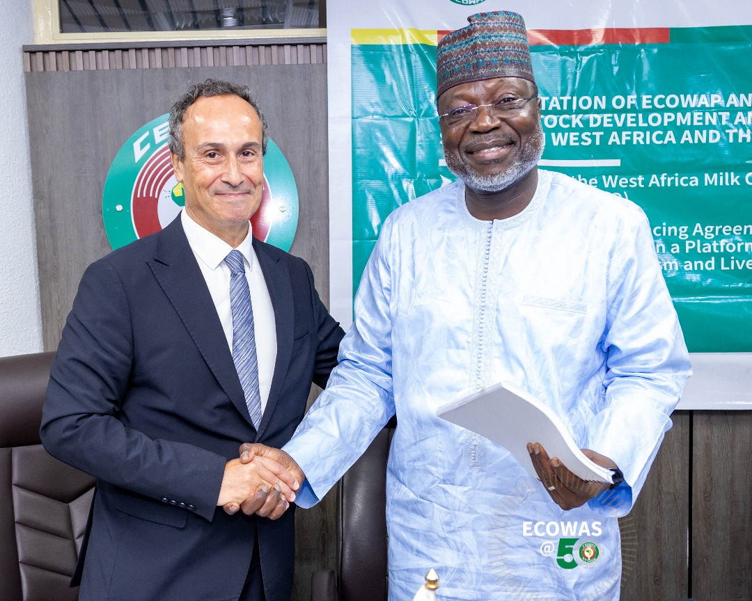 FranceInNigeria's tweet photo. Yesterday in Abuja, the French Development Agency
@afd_france signed a €18m grant agreement with @ecowas_cedeao to support local milk production &amp; resilient livestock systems, &amp; food security, youth jobs &amp; climate resilience boost across West Africa &amp; the Sahel 🐄🌱 https://t.co/Zxqvs9BHpi