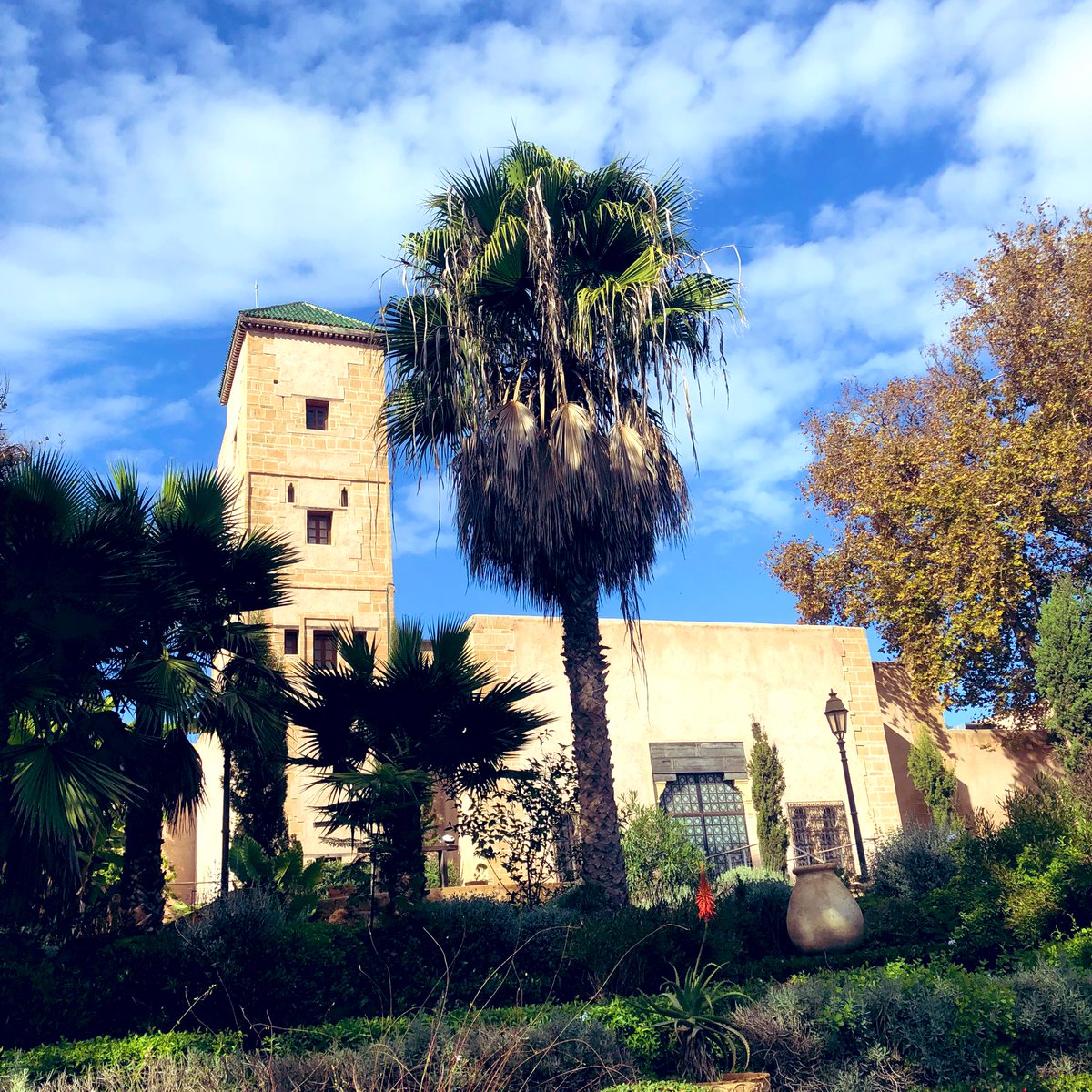 Khalid خالد (@khalidmh77) on Twitter photo 