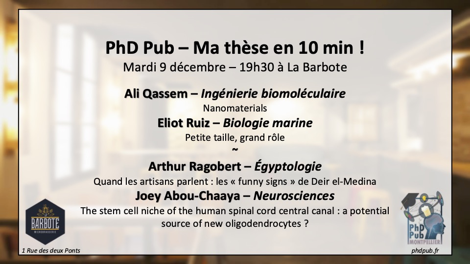 PhD Pub Montpellier tweet media