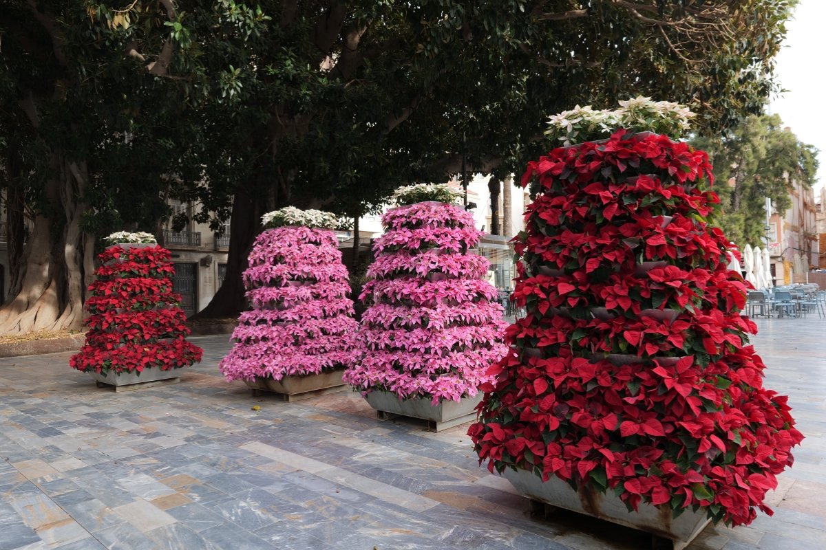 Ayuntamiento de Cartagena tweet media