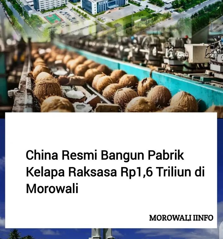 NenkMonica's tweet photo. 🤯 https://t.co/q7GLesiHoQ