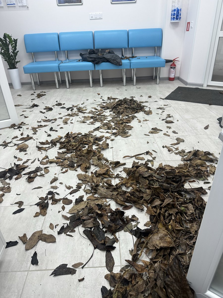 Пані У. tweet media