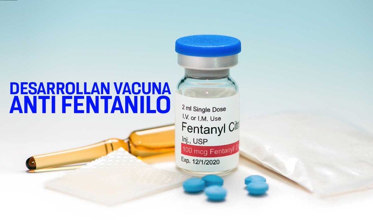 🧵¿Qué es la “VACUNA contra el FENTANILO”?

Objetivo: inducir al sistema inmunitario para que genere Anticuerpos capaces de unirse al fentanilo en sangre, bloqueando su paso al cerebro y así prevenir sus efectos eufóricos y, sobre todo, sus efectos tóxicos