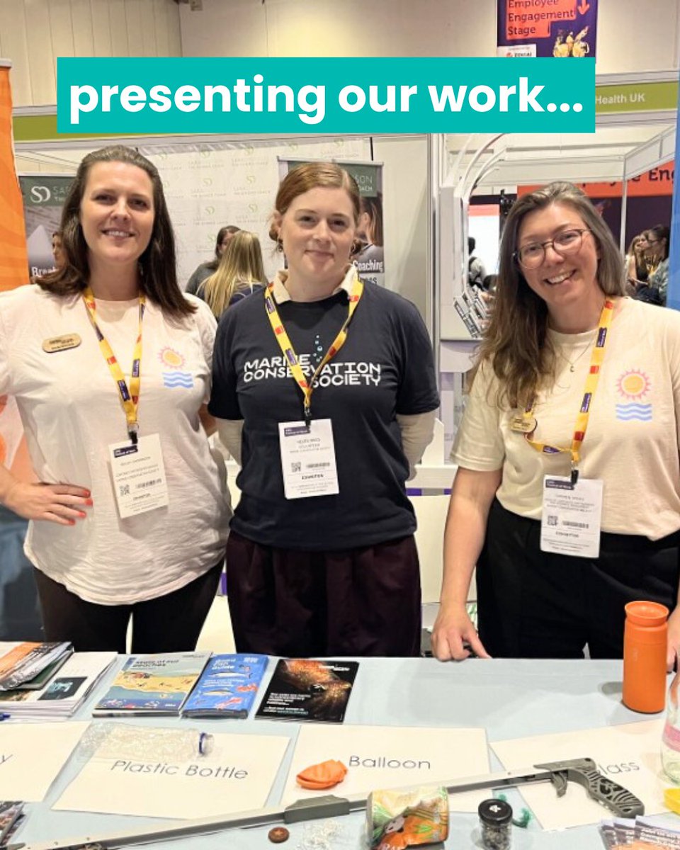 Marine Conservation Society tweet media