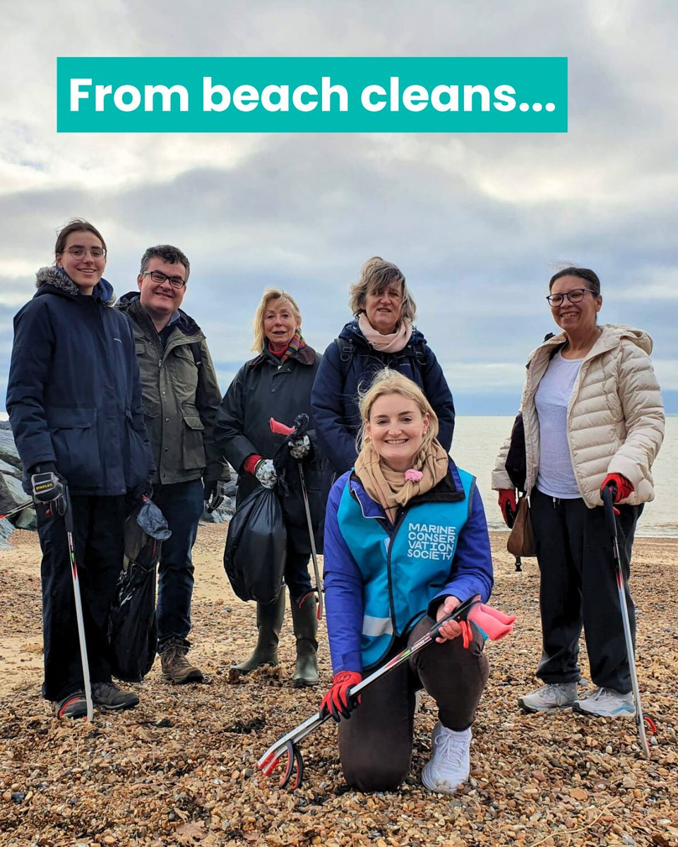 Marine Conservation Society tweet media