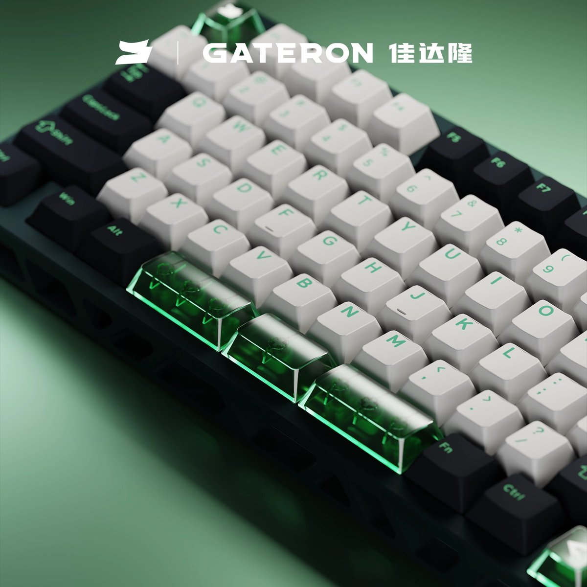 オルカ🆇 (@orukaorcat) / Posts / X