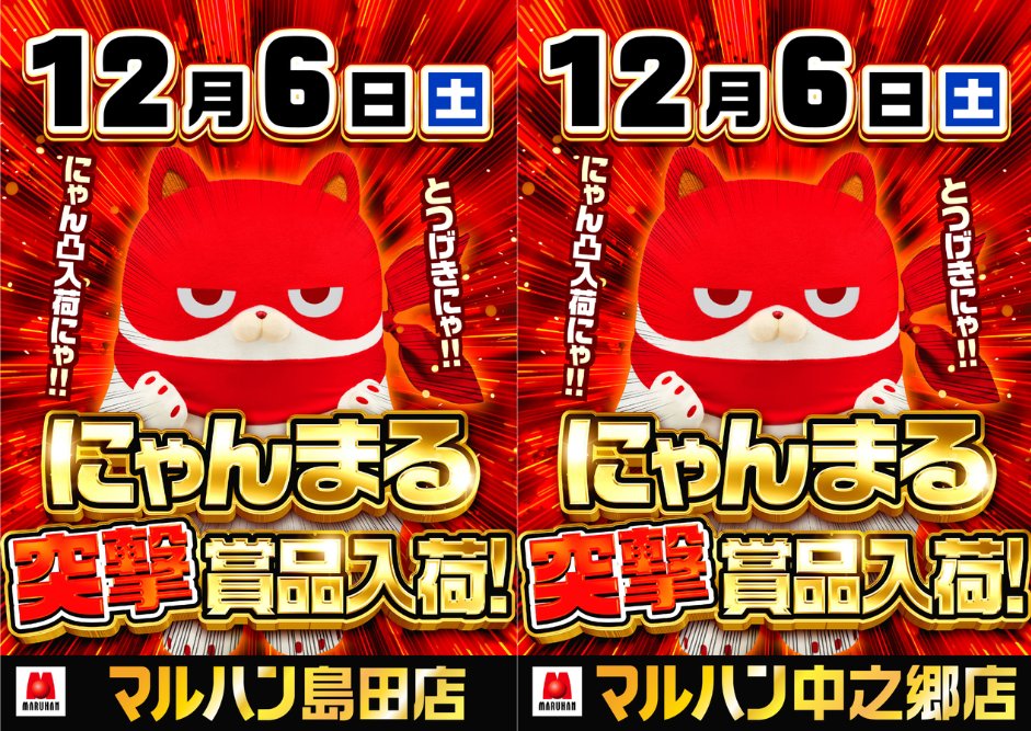 にゃんまる突撃】 明日12月6日(土) ・島田店 ・中之郷店 にゃんまる