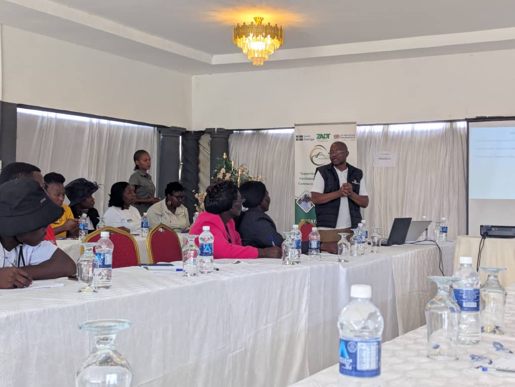 Smedco_Zw's tweet photo. SMEDCO in Action!
This week, we empowered MSMEs at the ZADT Financial Linkages Workshop and joined a community clean-up in Milton Park. Building stronger businesses and a cleaner Zimbabwe. 
#SMEDCO #MSMEGrowth #WomenInBusiness #YouthEmpowerment #CleanUpZimbabwe #CommunityImpact https://t.co/E9Sm9QVflN