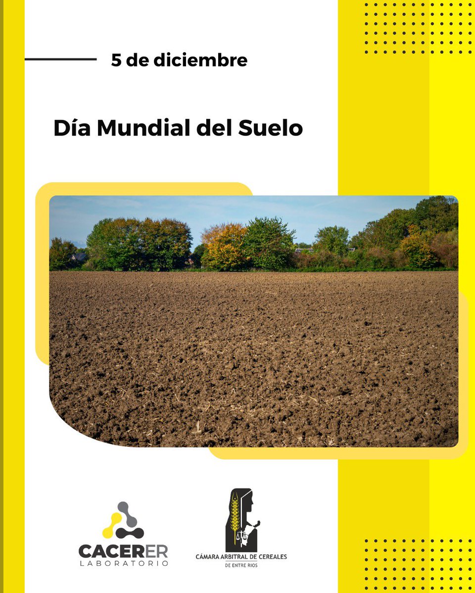 ✅ 5 de diciembre | Día Mundial del Suelo 

▪️Hoy renovamos nuestro compromiso con una producción sostenible que preserve la salud de este recurso esencial para las próximas generaciones.