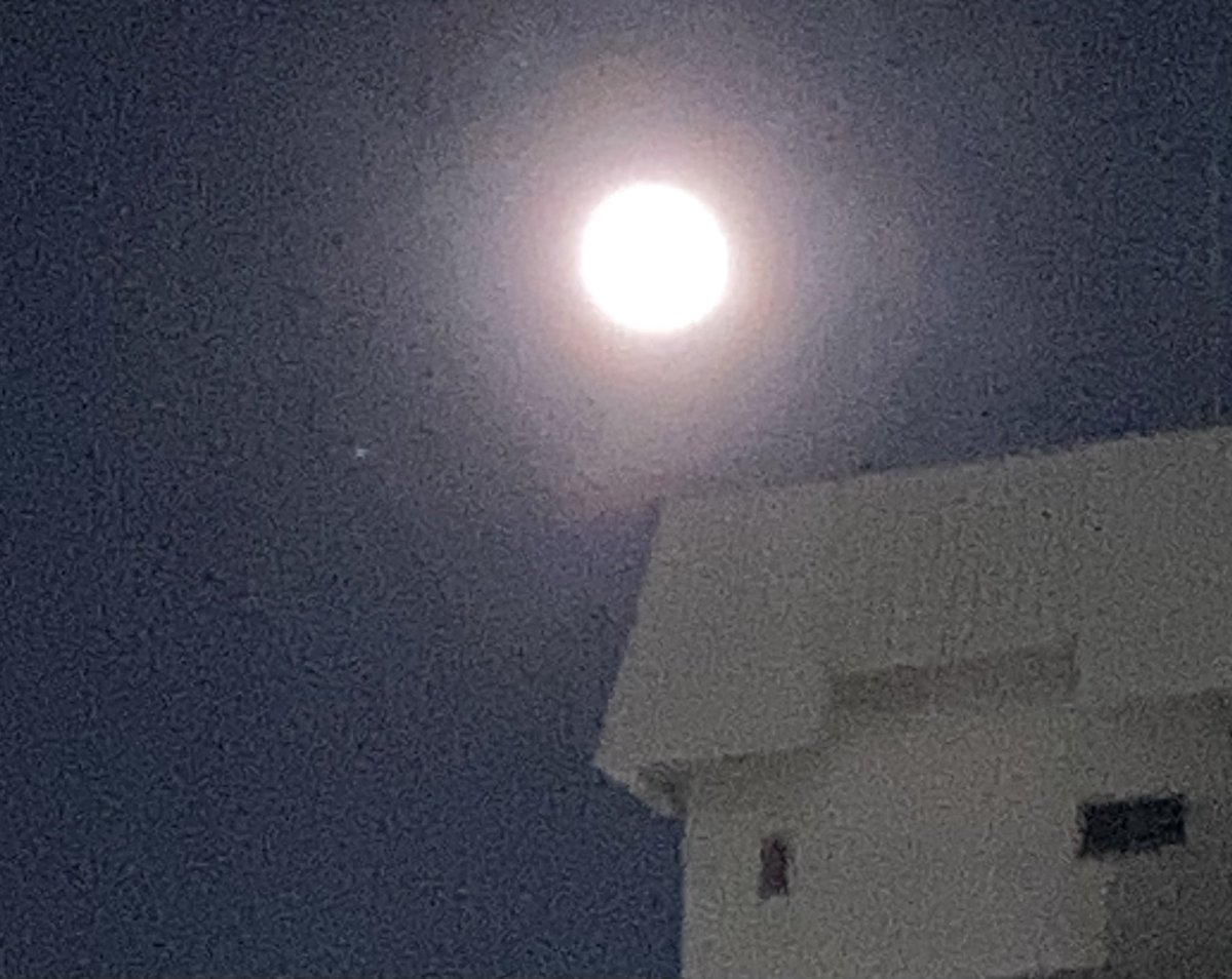 今年最後の満月🌕✨
コールドムーン
綺麗に輝いていました