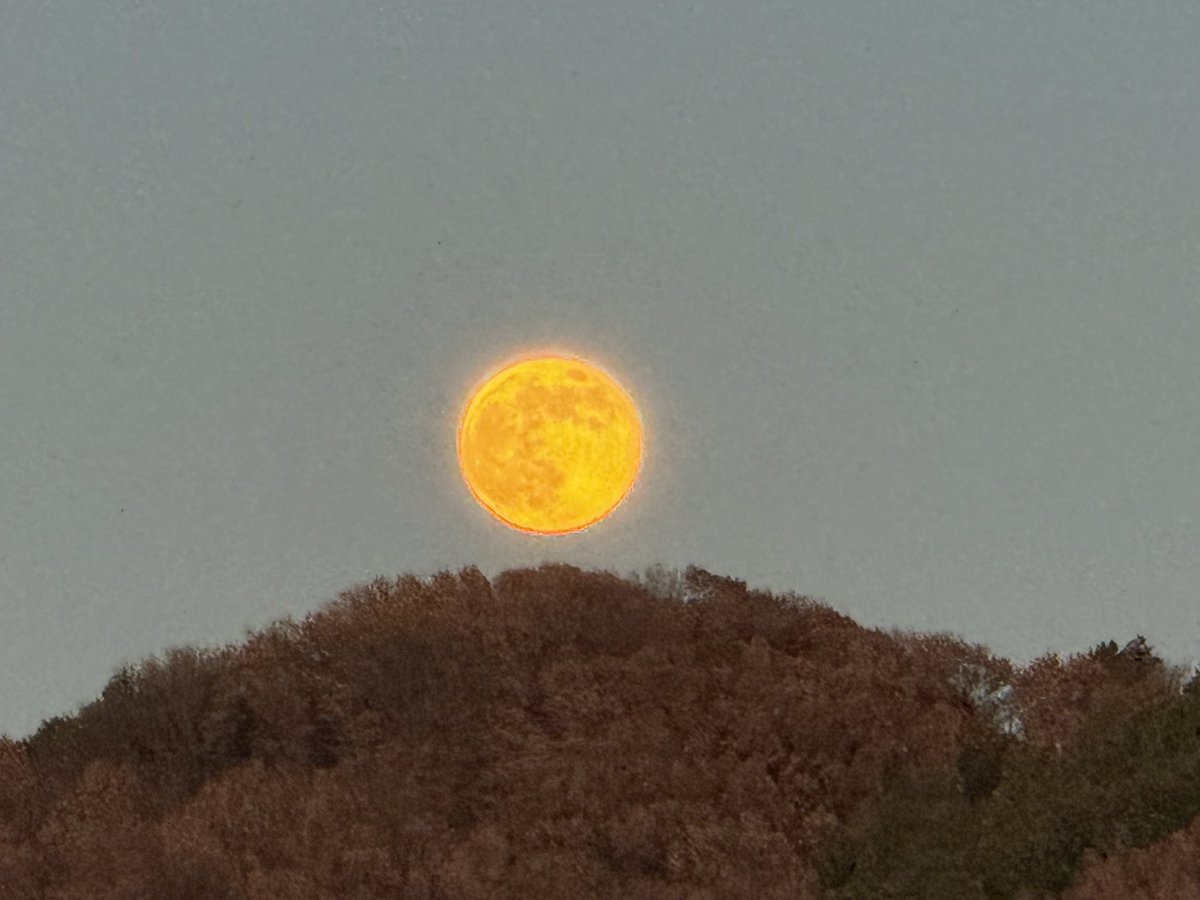 さおりん🌻 (@sunfl0wersmile) / Posts / X