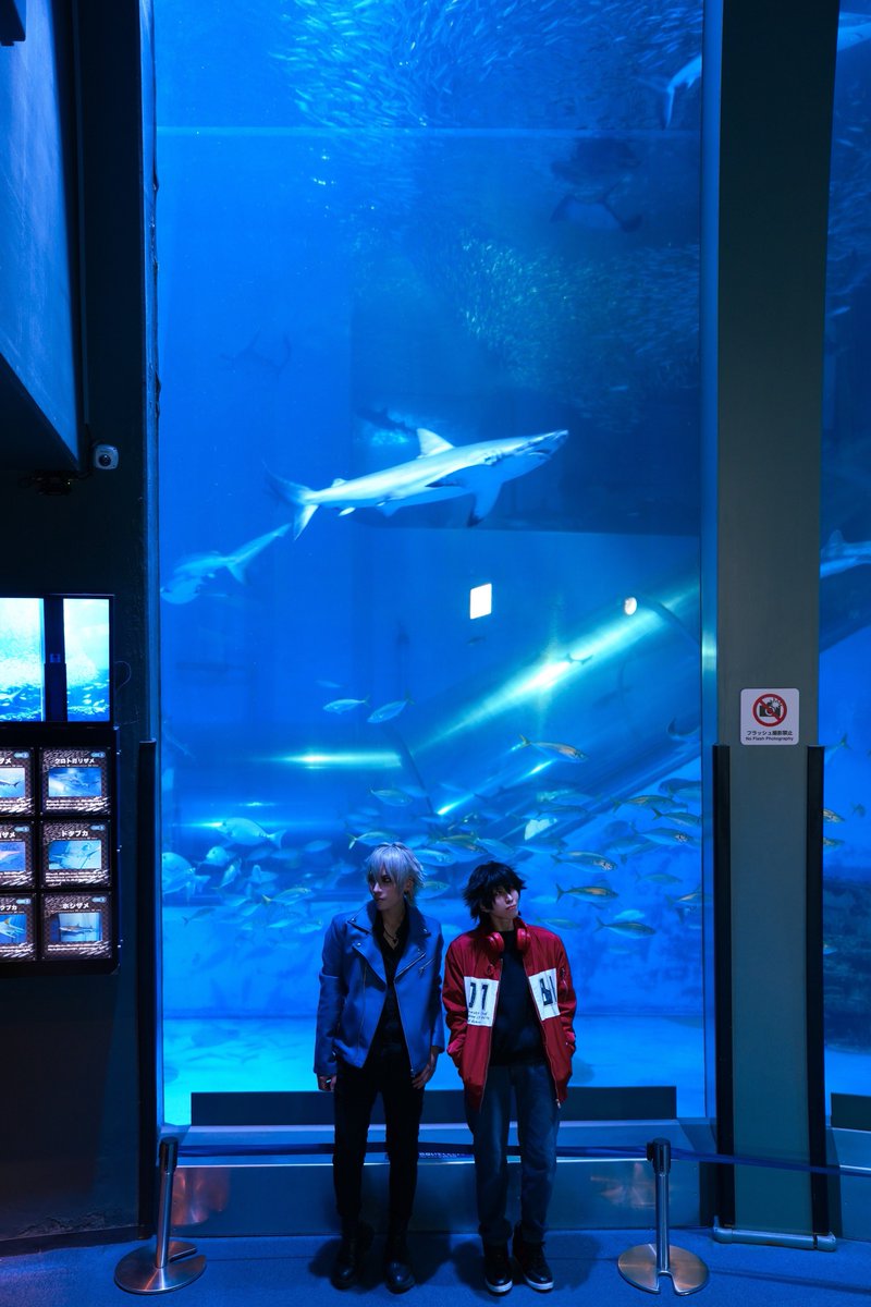 【ヒプノシスマイク＊山田一郎】

Aquarium.

左馬刻＊しゅう助さん
Photo＊しめさん(<a href="/fakecat_ss/">shime shime</a>)

#麗yers
#reiyers