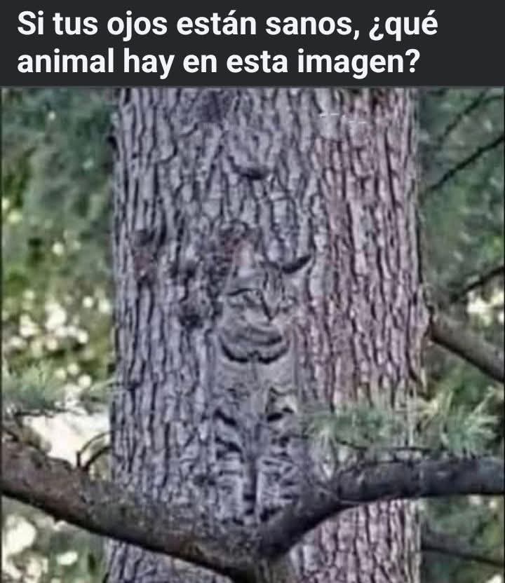 kitty_894's tweet image. Pregunta seria: