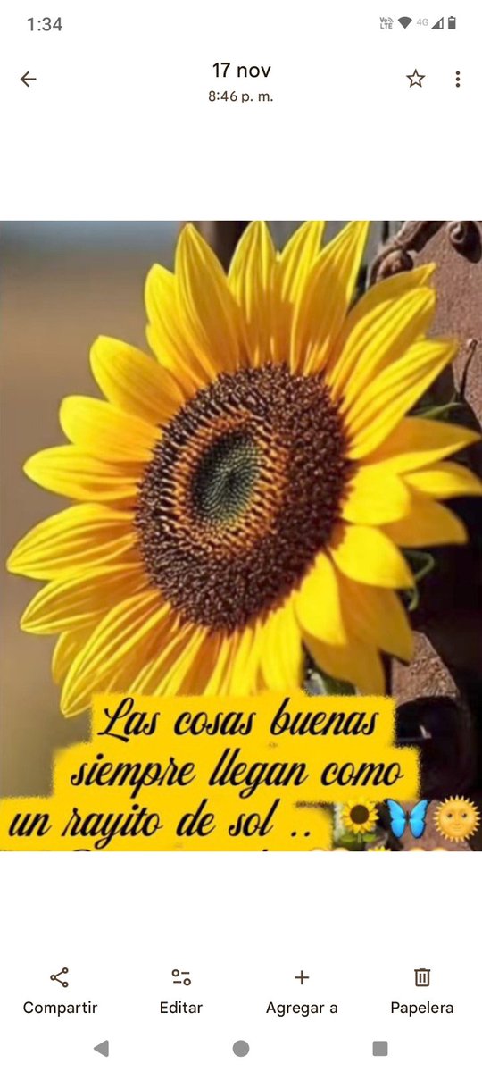 Muy bonito día mi gente Yellow !!!
Un rayito de sol, una sonrisa Y
¡¡ FELIZ VIERNES PARA TOD@S !!
😉🌞🦋🌷🐝🌲🎶🧞🌻🌻🌻❤️💋🤟