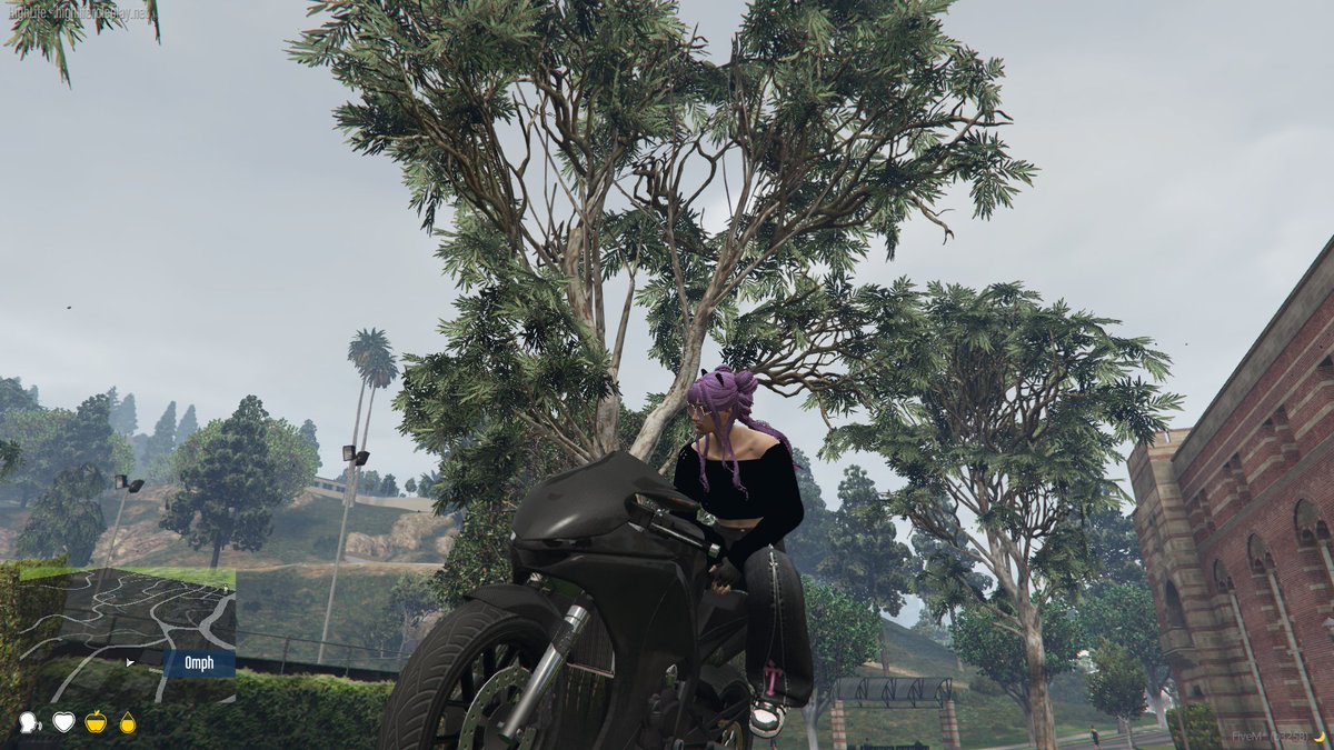 New haircolor! twitch.tv/foxymandy #gtav #rp #GTARP #highlife
